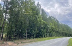 TBD DIXIE WINDS DR, Bremo Bluff, VA 23022