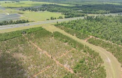 Live Oak, FL 32060