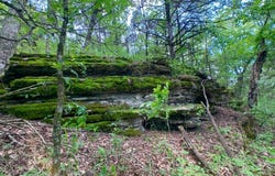 Farm Road 1230, Shell Knob, MO 65747