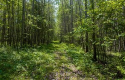 14195 County Highway M, Cable, WI 54821