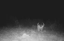 30 +/- ac CR 1112, Maud, TX 75567
