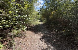 Hartery, Saucier, MS 39574