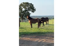 4067 CR 414, St Jo, TX 76265