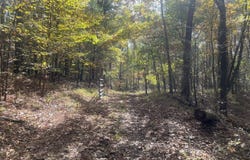 County Road 56, Carrollton, MS 38917