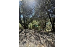 4-127 Pine Mountain Dr, Groveland, CA 95321