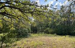 CR 161, Fairfield, TX 75840