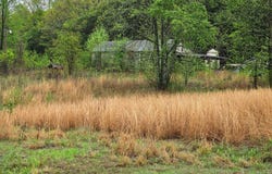 33 W Martin Lane, Greenbrier, AR 72058