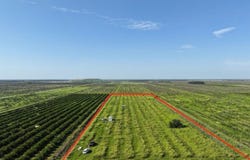 NE HWY 70, ARCADIA, FL 34266