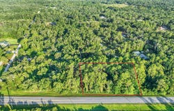 TREIMAN Boulevard, WEBSTER, FL 33597