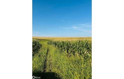 270th Street, Mount Ayr, IA 50860
