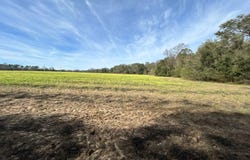 Mimosa Ln, Cottondale, FL 32431