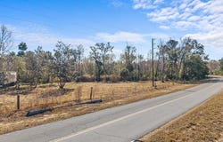 HWY 361, Steinhatchee, FL 32359