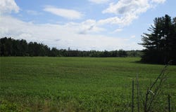River Pine Drive, Ladysmith, WI 54848