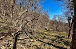 TBD MOUNTAIN LAKE Road, Newport, VA 24128