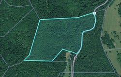 Wolfpen Run Road, Cox Mills, WV 26187