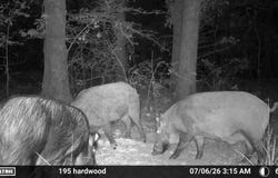 2116 CR 4314, DeKalb, TX 75599