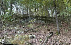 32 Arrow Ridge Rd, Damascus, AR 72031