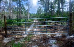 TBD - PID 3514130902303601, CEDAR KEY, FL 32625