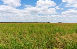 FM 1082 Highway, Hawley, TX 79525