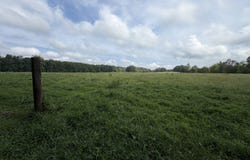 White Oak Road Tract A, Wilsons, VA 23894