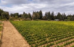 10420 SE HILLVIEW Dr, Amity, OR 97101