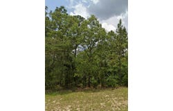 63RD AVENUE, OCALA, FL 34473