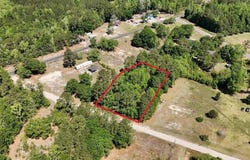 New Bridge Rd., Nichols, SC 29581