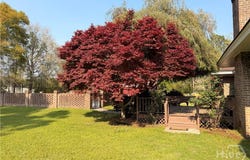 224 Ralph Rahn Rd, Rincon, GA 31326