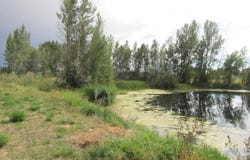 155 N 4700 E, Rigby, ID 83442