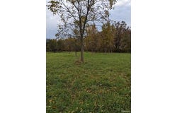 12885 EBELING Road, Bruce Twp, MI 48065