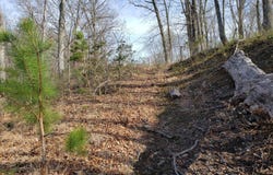 Wilsie Rd, Frametown, WV 26623