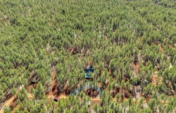 4.74 Acres Birdsong Way, Lakeside, AZ 85929