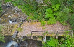 Ookala, HI 96774