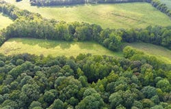 Lower Big Sandy Rd, BIG SANDY, TN 38221