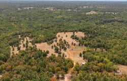 Silk Tree Rd, Gilmer, TX 75645
