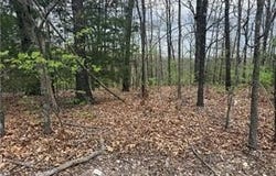 Entry Road lot: 10, Ridgedale, MO 65739