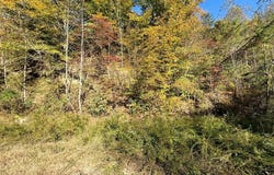 Kidd Fork, Banner, KY 41603