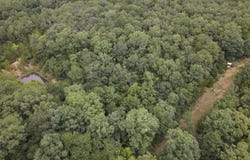 Merryman Road, Clinton, AR 72031