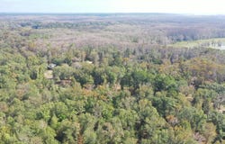 Jackson Arm Rd, Karnack, TX 75661