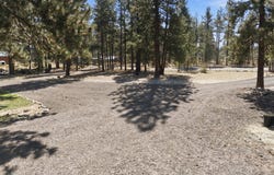 516 Pebble Lane, Hamilton, MT 59840