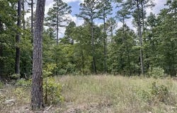 Texas Tower Road, Licking, MO 65542