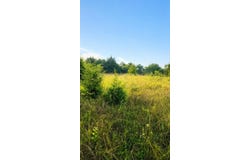 Bursot Road, Vevay, IN 47043