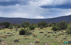 Mangas Road, Datil, NM 87821