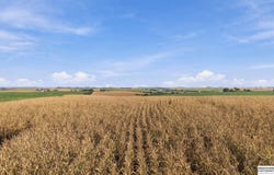 18702 Pflug Road, Springfield, NE 68059