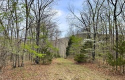 320 Acres CR 921, Alpena, AR 72611