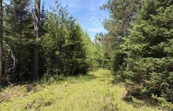 On WILSON SCHOOL ROAD, Tomahawk, WI 54487