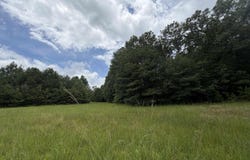 HALL BURTON ROAD lot: 1, SUMITON, AL 35148