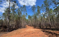 BARRON'S BRIDGE, DADEVILLE, AL 36853