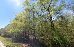 S Magnolia Drive, Wiggins, MS 39577