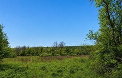 Oran Delphi Rd, Manlius, NY 13104